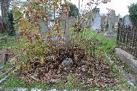 Newton Nottage (St. John The Baptist) Churchyard - Lewis, S John